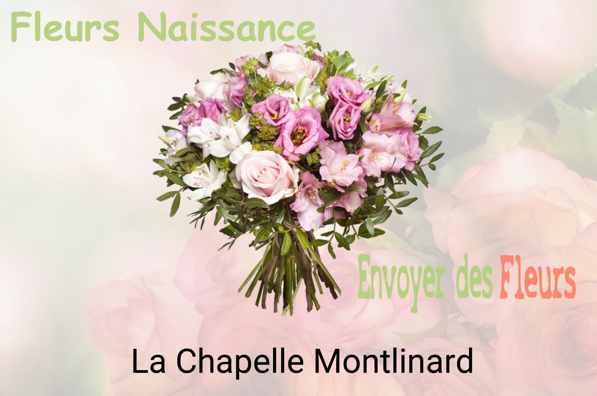 Bouquet de fleurs de naissance livré à La Chapelle-Montlinard